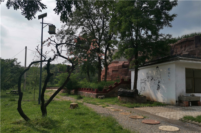 【暑期社会实践】淬炼商学院：聚焦农村特色 探寻乡村振兴