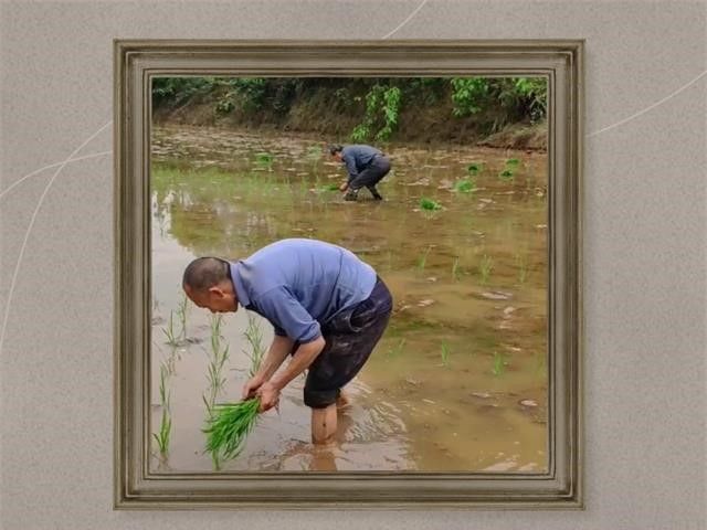 【暑期社会实践】品劳动之美 塑时代精神 ——“劳动至美”暑期劳动实践教育活动