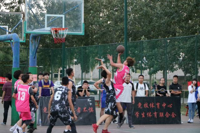 【信院力量·体联】水下波澜助夏日 绚风抚杨破东风