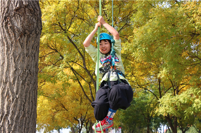 第四届“阳光杯”CISAU攀树大赛圆满落幕