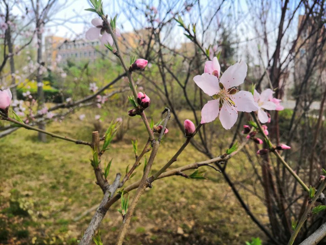 前行第168期:用光影探寻信院最美的风景——大数据学院、信息工程学院开展“春光印象”春季主题摄影大赛