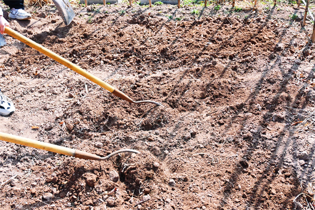 春耕始 万物生——远景学院“春分耕种计划”主题活动