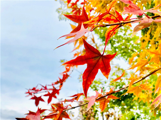 前行第175期:信院美好与你环环相扣