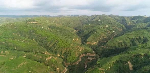 【三下乡】情系乡村热土 力行振兴使命