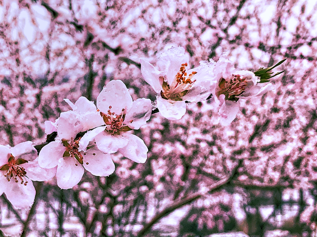 【完满班级】美好信院——数媒1601班摄影大赛