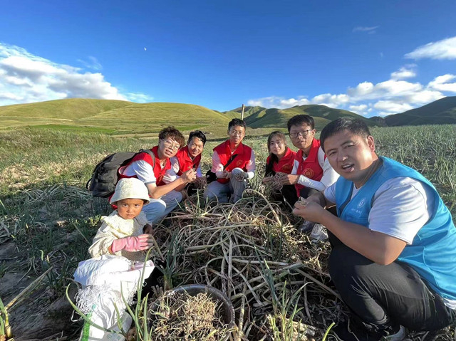 【三下乡】笃行致远 宁夏归来当成长当满载——白燕书院同心燃梦乡村振兴促进团“三下乡”活动