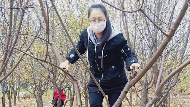 【完满班级】获一技之长 展园艺风采——食品与环境学院园艺1601班完满班级活动