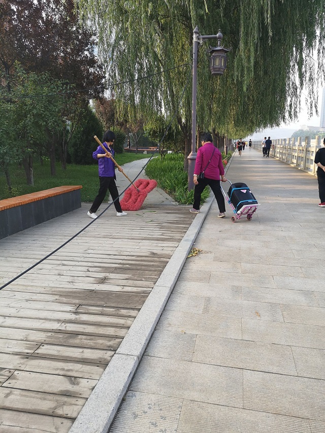 【暑期社会实践】中小学劳动教育教学 ——暑期劳动实践教育活动