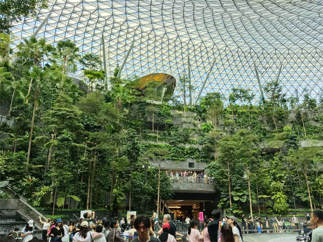 全面把握游学的多重价值——商务英语学院新加坡游学之旅