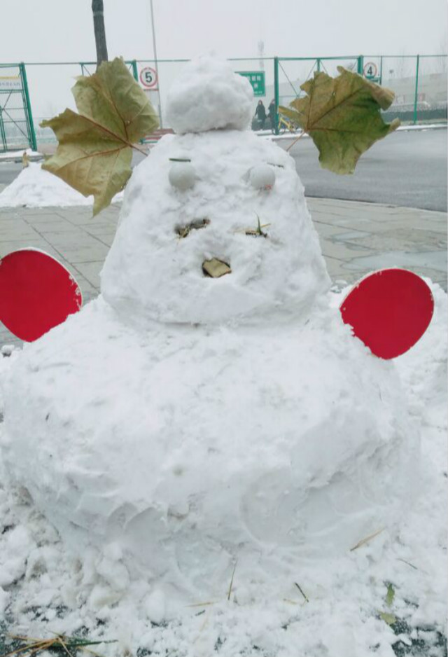 【完满班级】雪落信院 凝眸处 情牵万里——国贸1605班举办“缤纷世界 挚爱纯白”冰雪世界活动