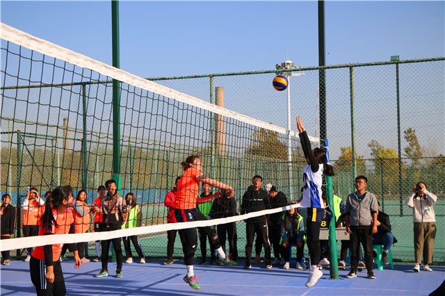 排球联赛:每一次起跳都是梦想的实现