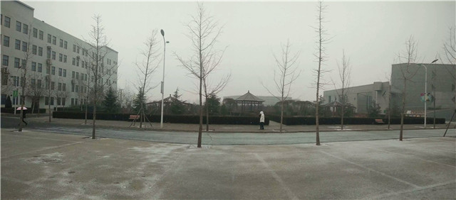 【前行】第75期:信院初雪 如果不打伞 是不是可以一路走到白头