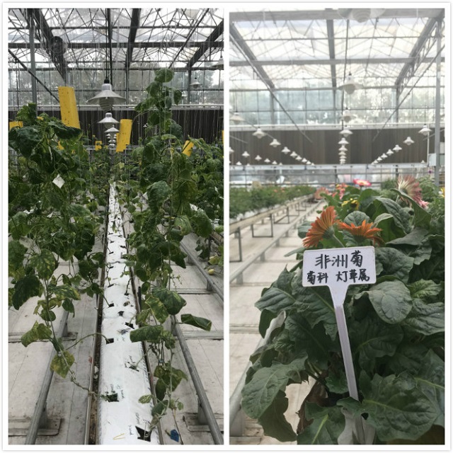 【社团快讯】新生社员农场初体验