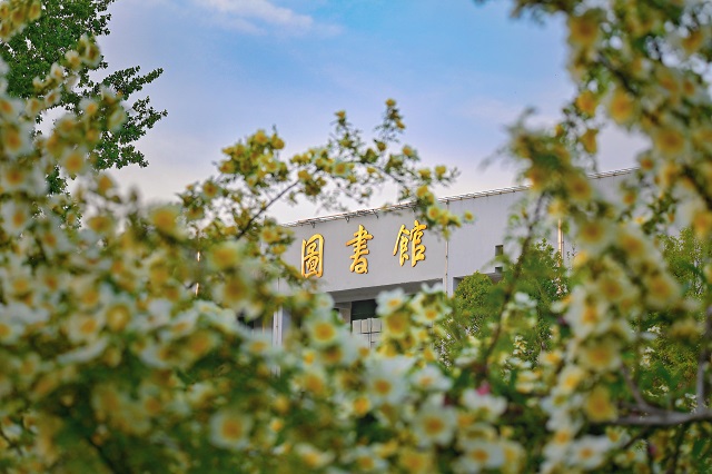 【前行】春眠花醒时 共叙右岸情