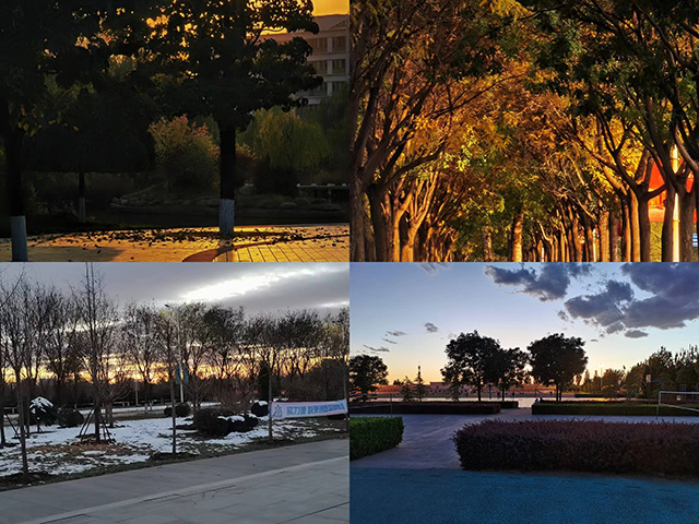 【完满团支部】人间草木 至美清欢——经济与管理学院金融2003班完满团支部活动