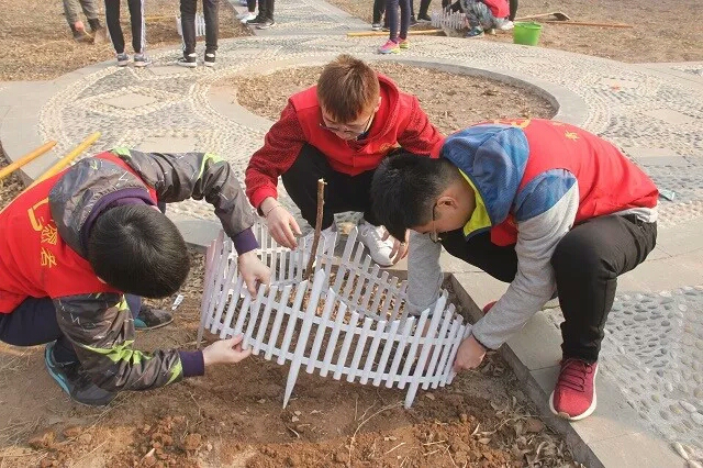 【志愿快讯·行动】行胜于言 青春步伐不停歇