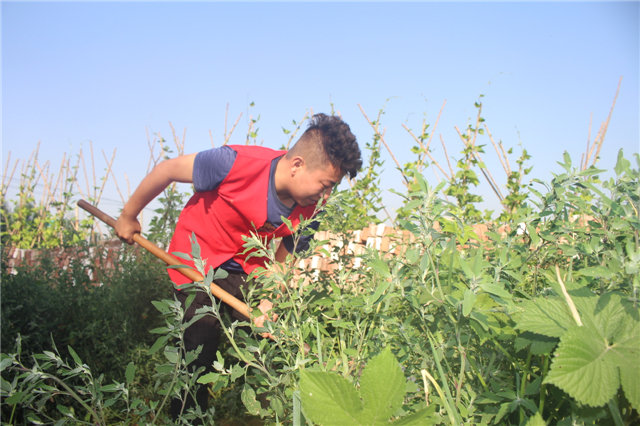 【三下乡】聚焦：镜头中的最美高校志愿团队