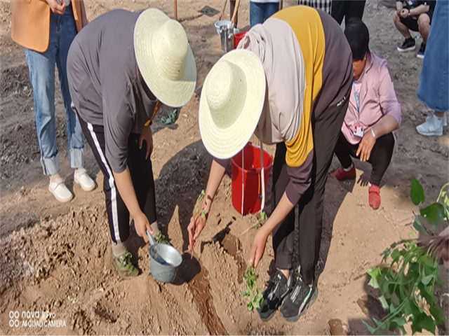 【信院农场】农耕项目第2期:初夏时节 耕植方圃 不亦乐乎