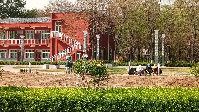 【完满班级】待到青春灿烂 一丝春意拂面 ——食品与环境学院园艺1701班完满班级活动