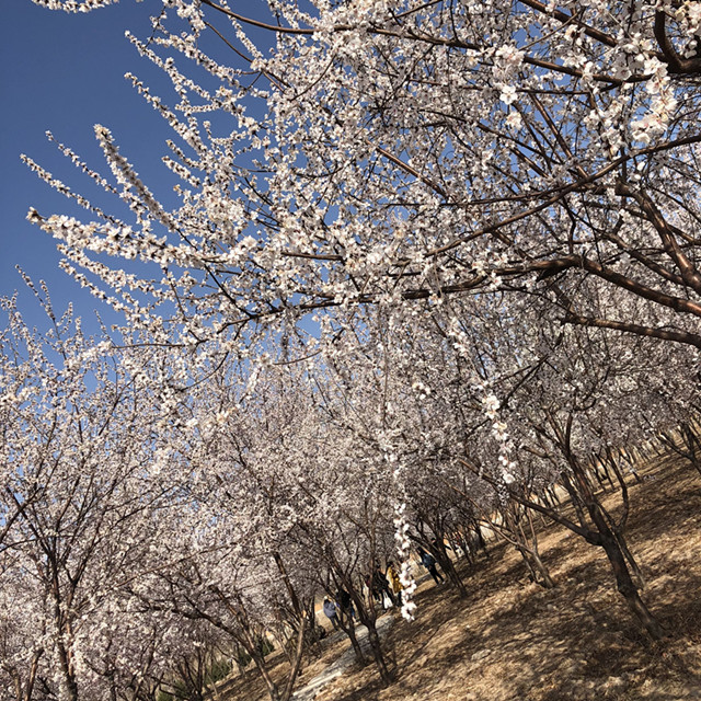 【完满班级】旋律拉动心弦 吸引你我相依——经济与管理学院四月完满班级活动纪实（一）