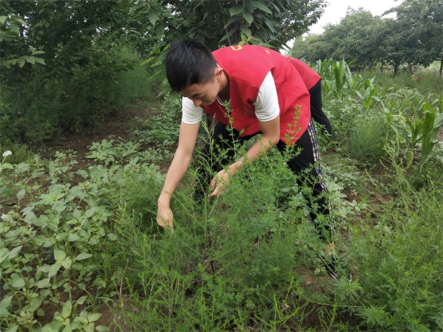 【三下乡】走近枣庄 象谷的风景线——智能工程学院“机时予”志愿者服务队象谷之行