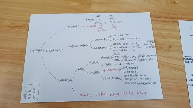 【完满班级】关联重点知识 提高学习效率——食品与环境学院动医2002班完满班级活动
