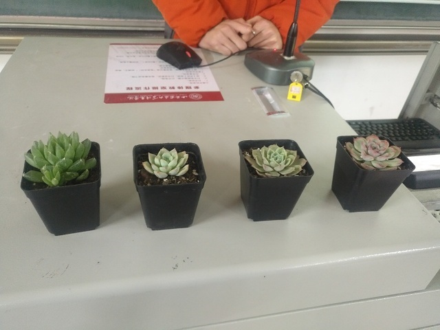 【完满班级】“暖阳俏佳人”——环科系开展完满班级汇总活动