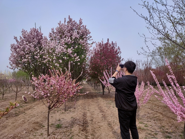 【完满班级】“探索春天的奥秘”摄影活动——软件1801班完满班级活动
