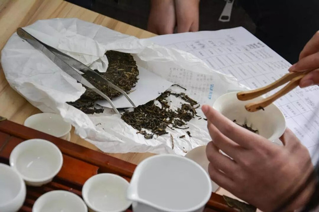 茶香四 不期而遇——第一届“茶韵箕城 四溢飘香”古茶古色活动