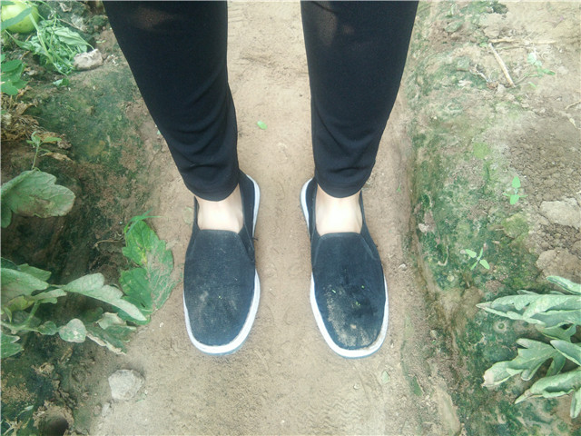 【三下乡】志愿者风采：收获番茄 收获不一般的经历——机电工程系“机时予”象谷村志愿服务纪实（三）