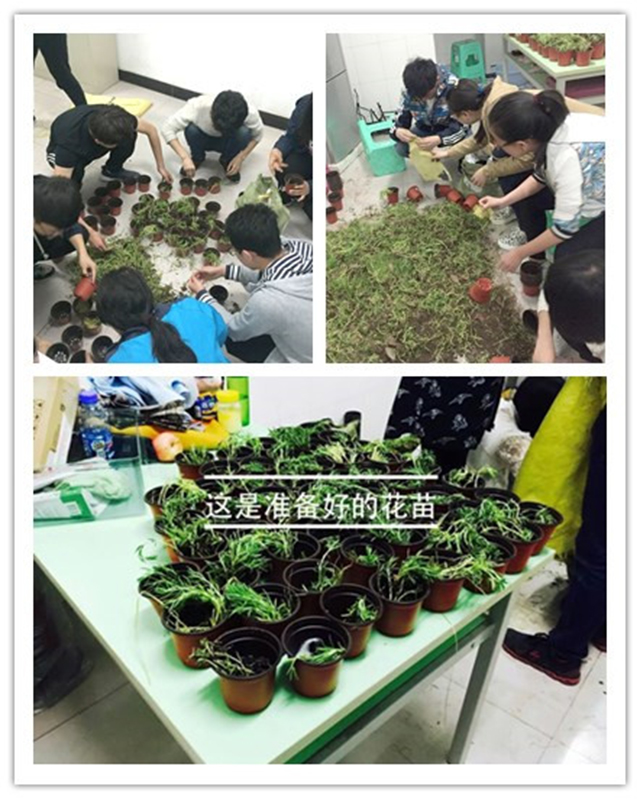 第六届全国大学生绿植领养活动成功举办