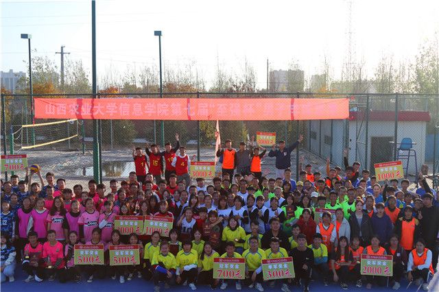 排球联赛:每一次起跳都是梦想的实现