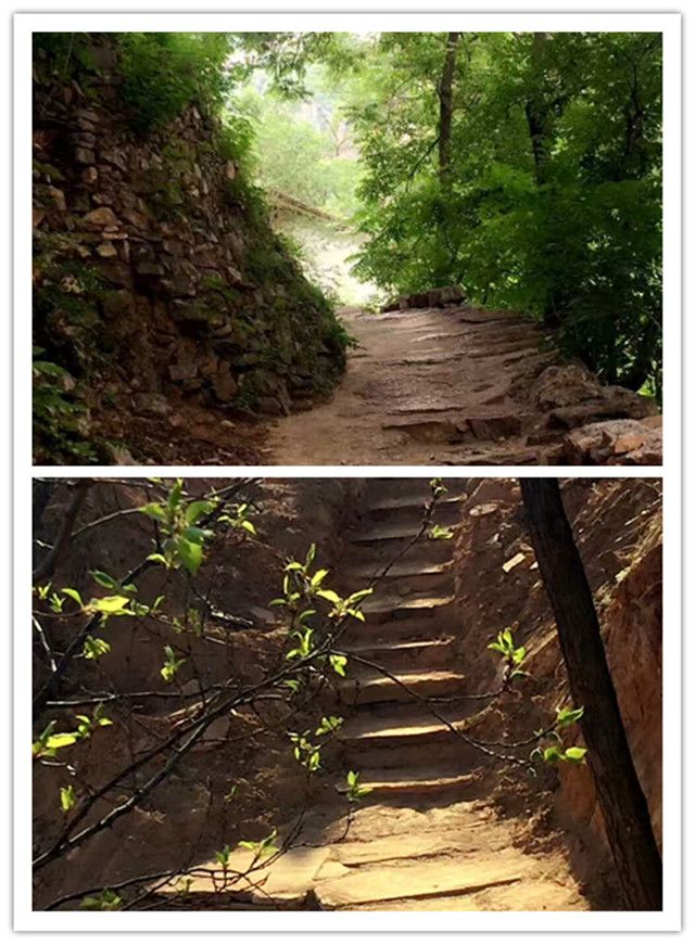 【三下乡】带着温暖与感动  踏上归途——远景学院暑期“三下乡”社会实践活动总结篇