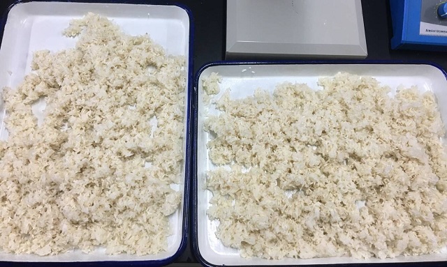 【社团快讯】钟情春意连绵 恋慕三月暖阳
