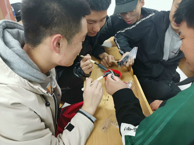 【完满班级】冬日经彩 青春无限