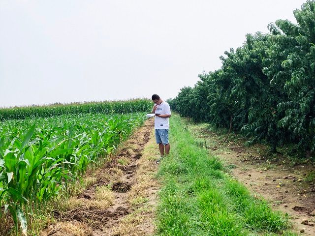 【暑期社会实践】立足专业知识 促进民生服务 ——食品与环境学院“青春兴晋”暑期社会实践纪实