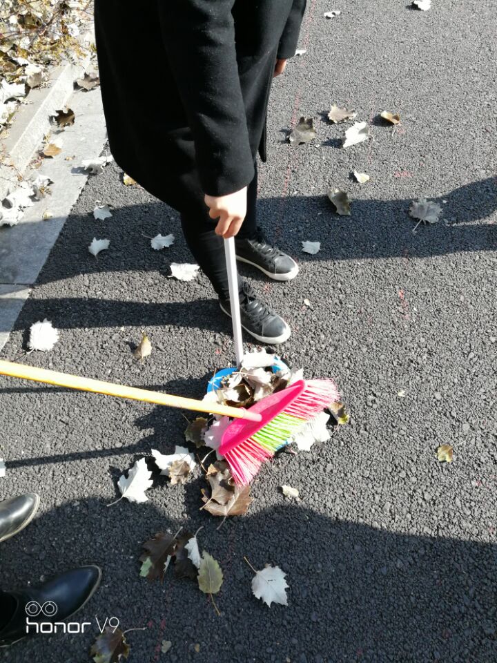 【完满班级】扫秋叶斯 暖阳入心——环境科学与食品工程系食安1701举办完满班级活动