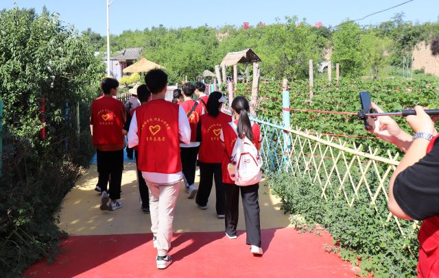 【三下乡】南山养生源 美宝山庄“大不同”——大数据学院、信息工程学院“智·惠农”太谷农高区产业振兴实践团