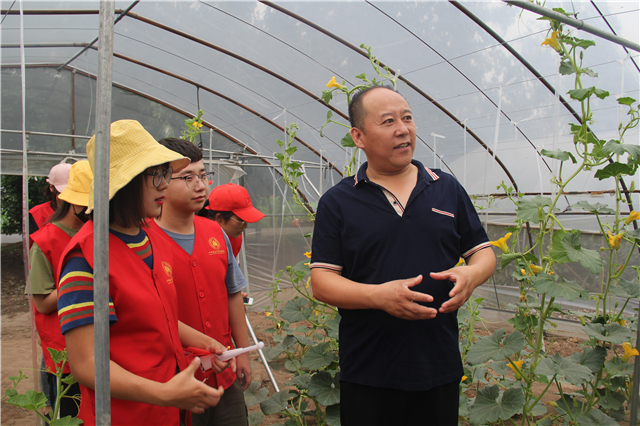 志愿之星•王丽:用三年的时间 去做一件终身有意义的事情