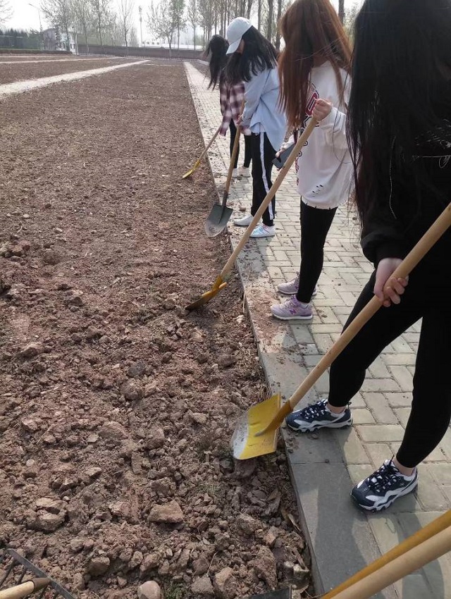 【完满班级】专业知识碰撞实践 园林之花绽放信院——环科系园林1601班“园林学子的汗水”主题活动