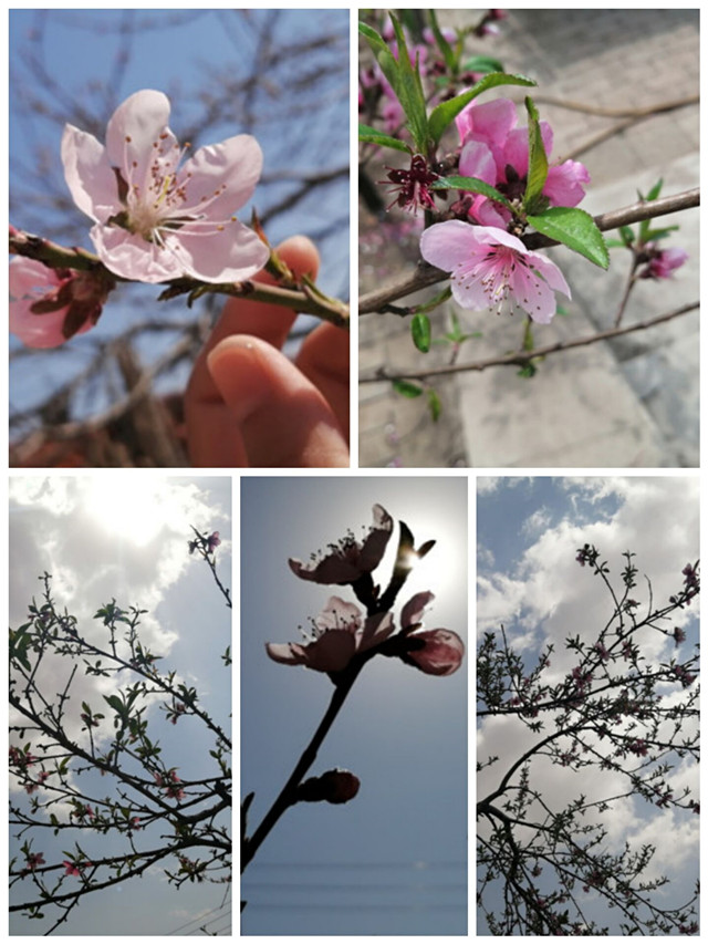 【缤纷百团】第八届“信院杯”摄影大赛：掠美身边 美在瞬间